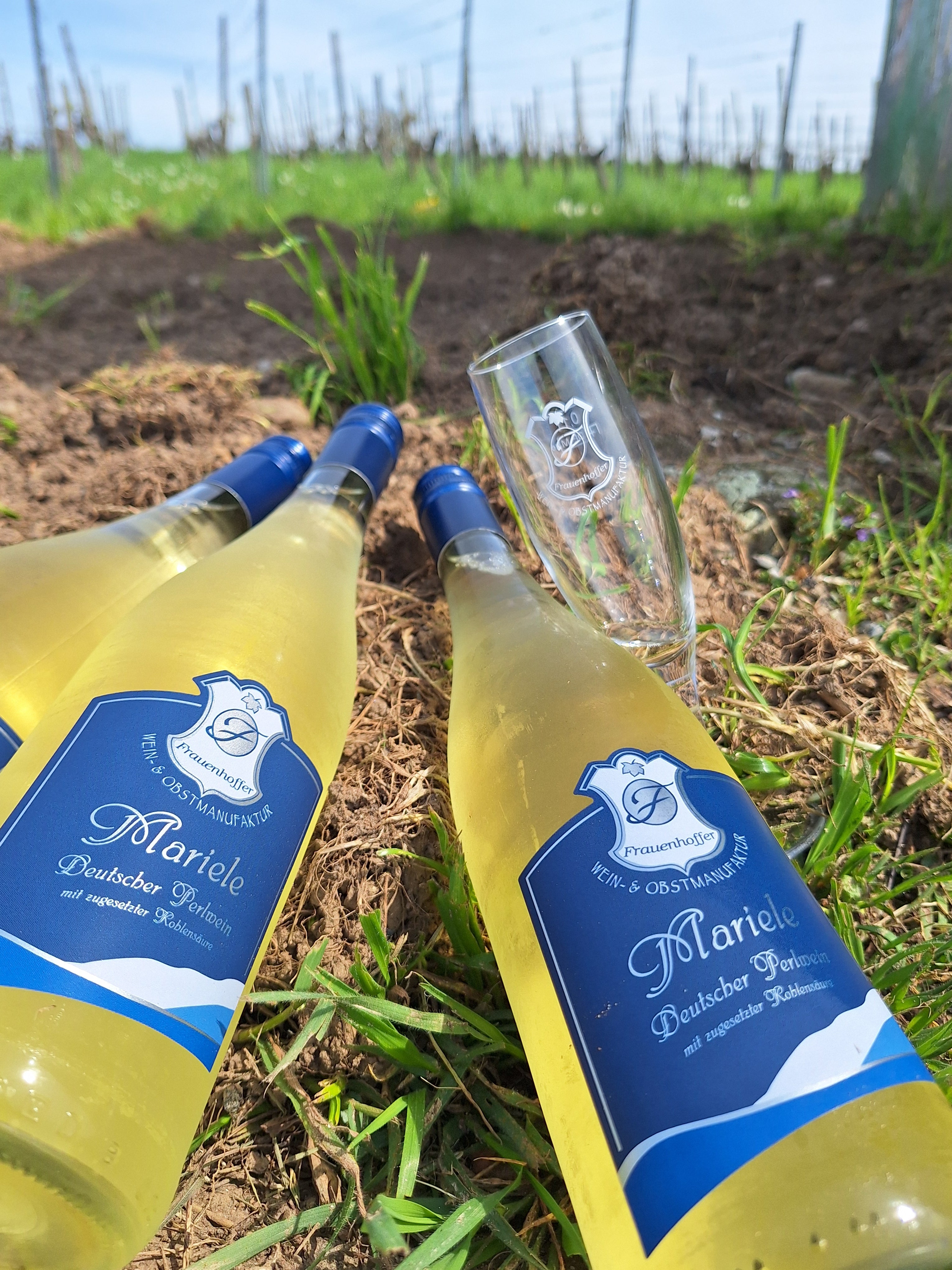 Seccoflaschen im Weinberg